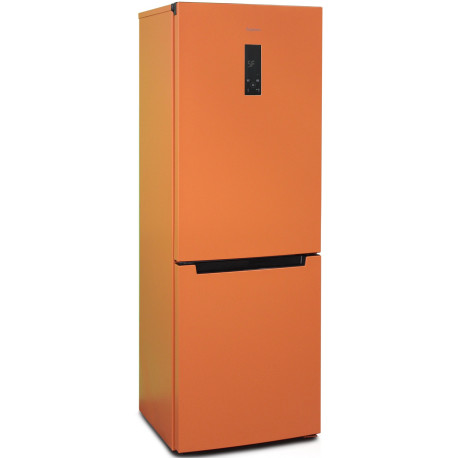 Хол. Бирюса T920NF