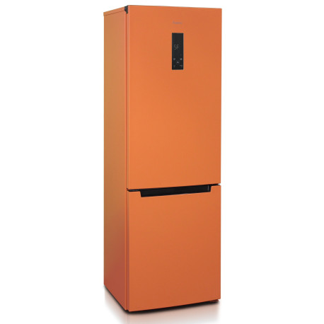 Хол. Бирюса T960NF